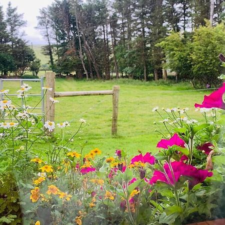 Glen Keen Farm Cottage Louisburgh Eksteriør billede